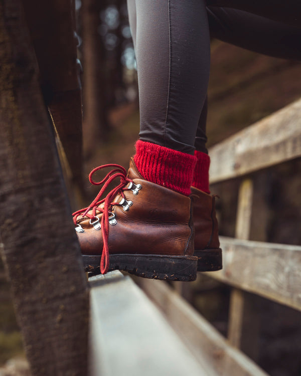 Alpaca Adventure Socks