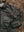 The Cairn Overshirt