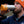 Explorer Bottle