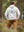 The Wildback Hoodie